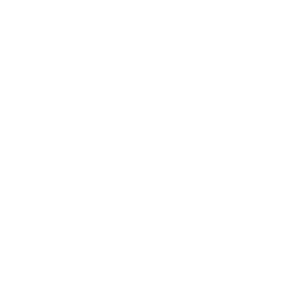 logo blanc adalec